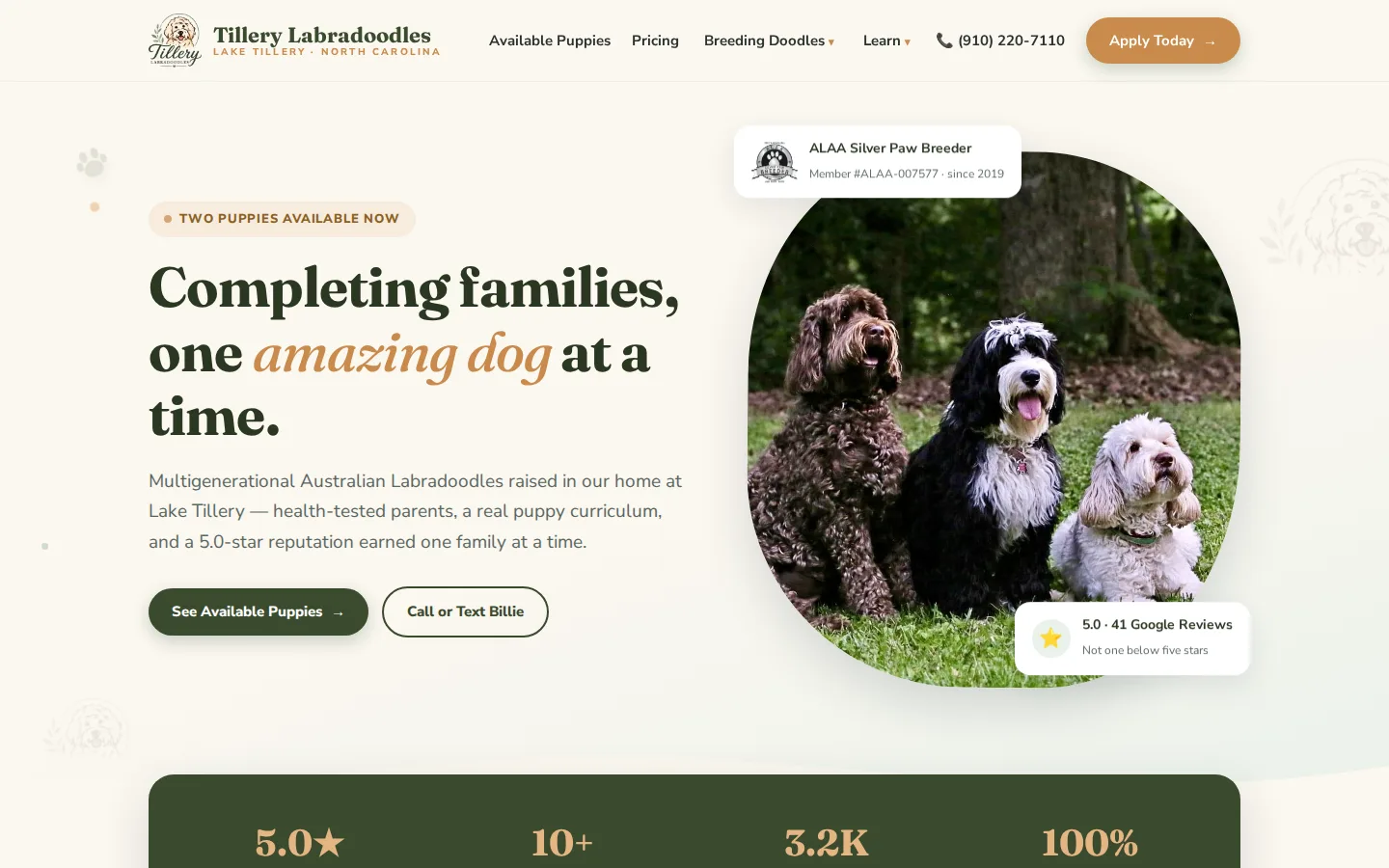 The rebuilt Tillery Labradoodles homepage with the Silver Paw badge and 5.0 Google rating