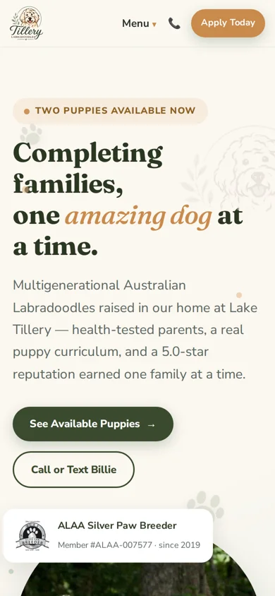 The Tillery Labradoodles homepage on a phone