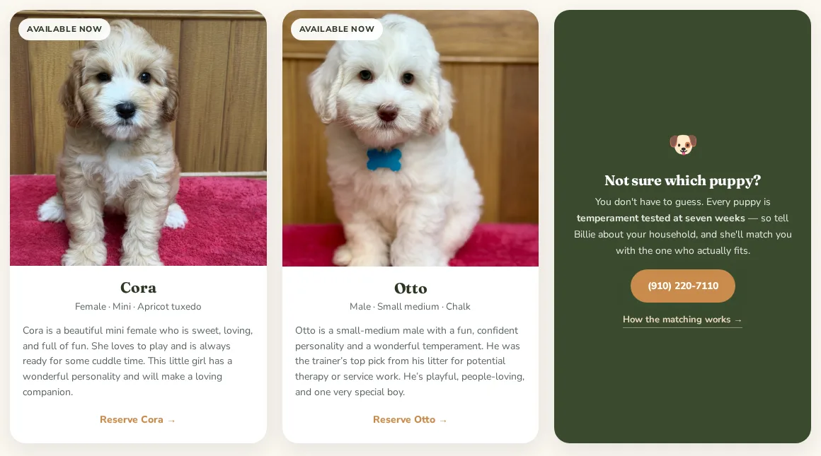 Individual puppy cards with name, sex, size, color and a reserve link