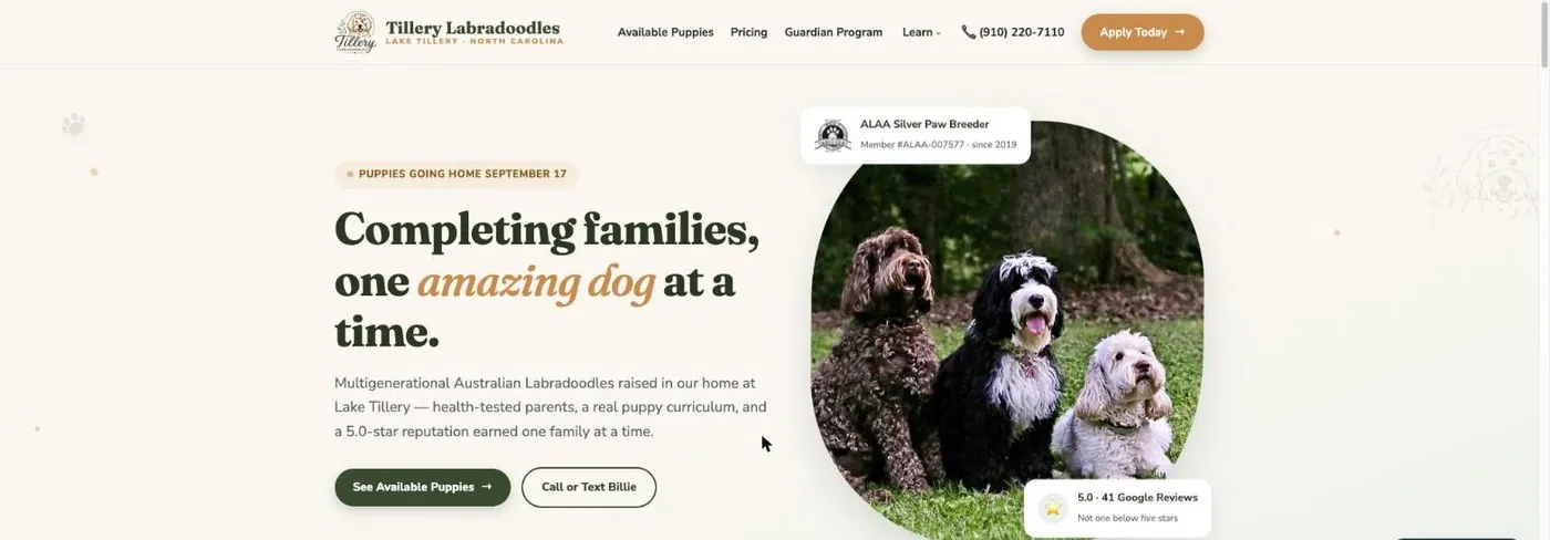 Tillery Labradoodles website, designed and built by Mooresville Marketing
